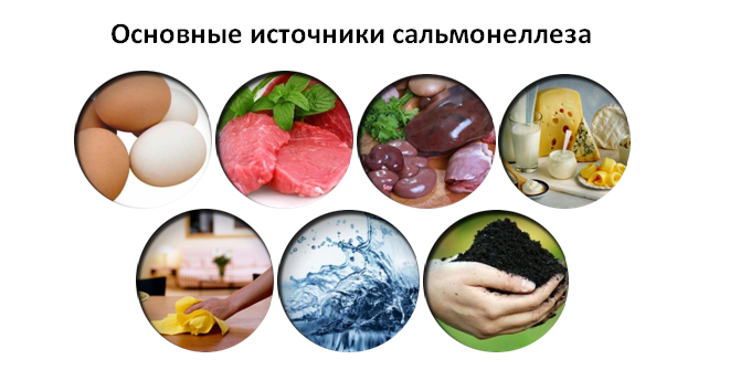 Источники сальмонеллы Источники сальмонеллы