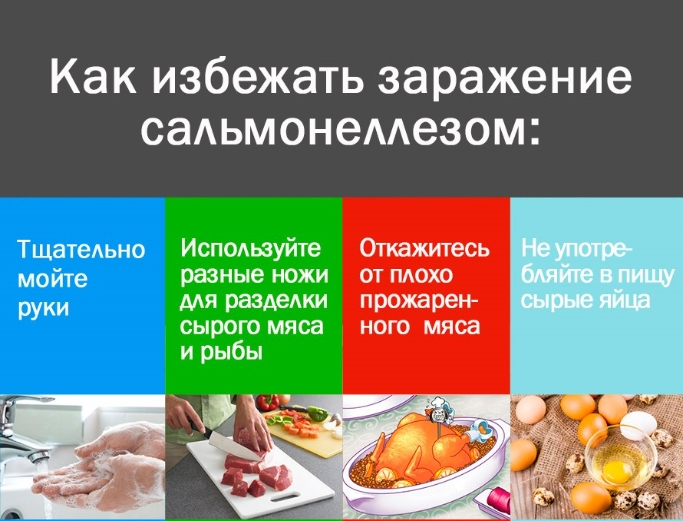 Профилактика сальмонеллеза Профилактика сальмонеллеза