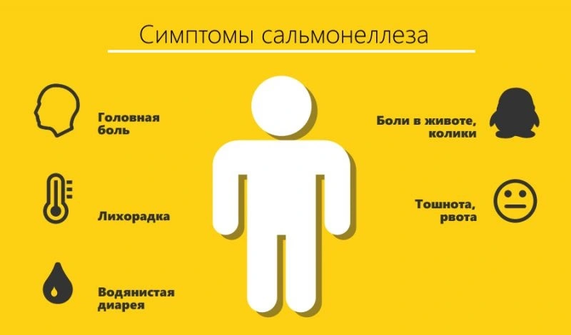 Симптомы сальмонеллеза Симптомы сальмонеллеза